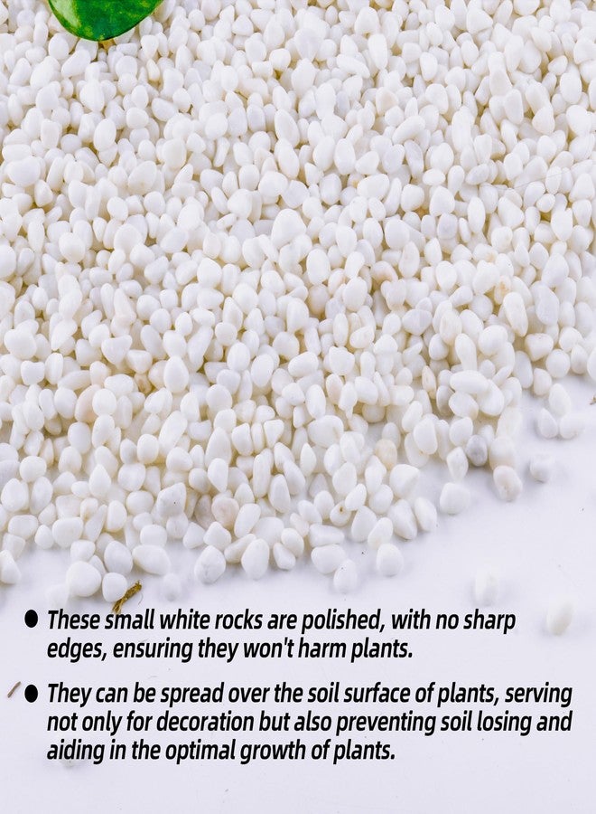 CJGQ 2.4lb 1/4" Small White Rocks for Plants,Potting,Succulents Aquarium Fish Tank Garden Vases Decorative Pebbles Gravel Rocks Stones - Image 2